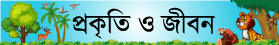 লাইফস্টাইল